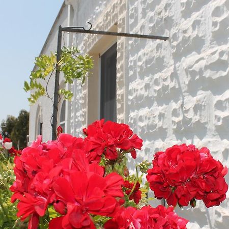 B&B Stella Marina Manfredonia Dış mekan fotoğraf