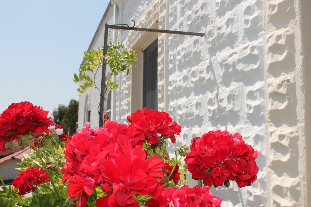 B&B Stella Marina Manfredonia Dış mekan fotoğraf